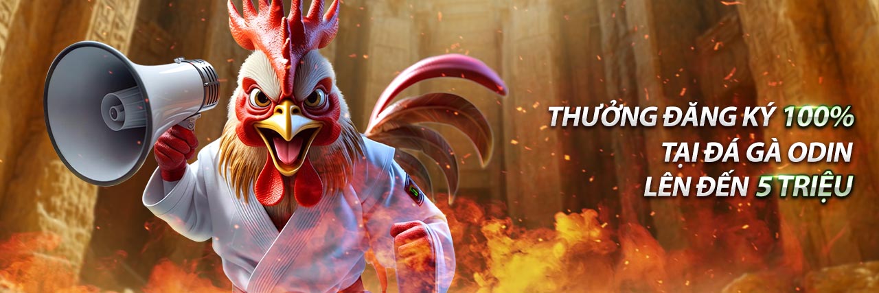 Hình ảnh minh họa cookie hiệu suất và phân tích trang web